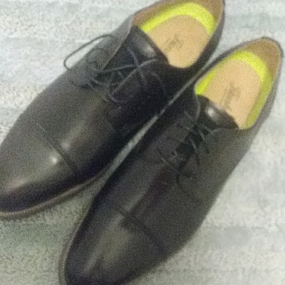 Florshein Dress Shoes with Comfortech.